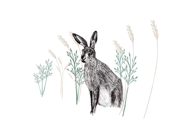 Wild Hare Print