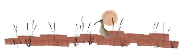Curlew Lampshade