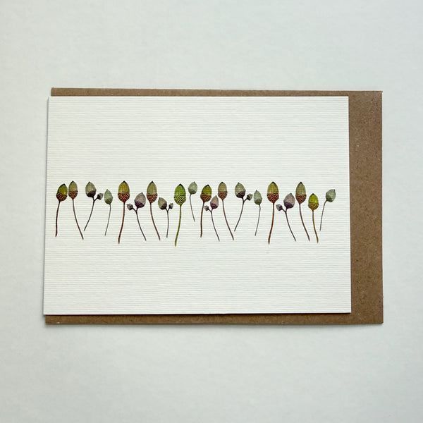 Acorns Greetings Card