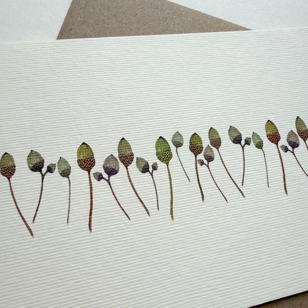 Acorns Greetings Card