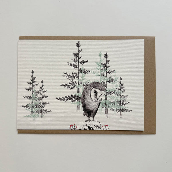 Barn Owl Greetings Card
