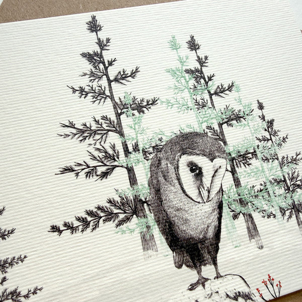 Barn Owl Greetings Card