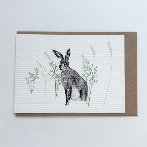 Wild Hare Greetings Card