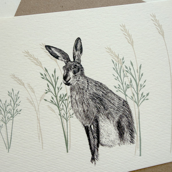 Wild Hare Greetings Card