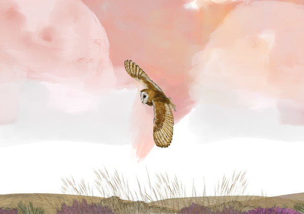 Moorland Barn Owl Lampshade