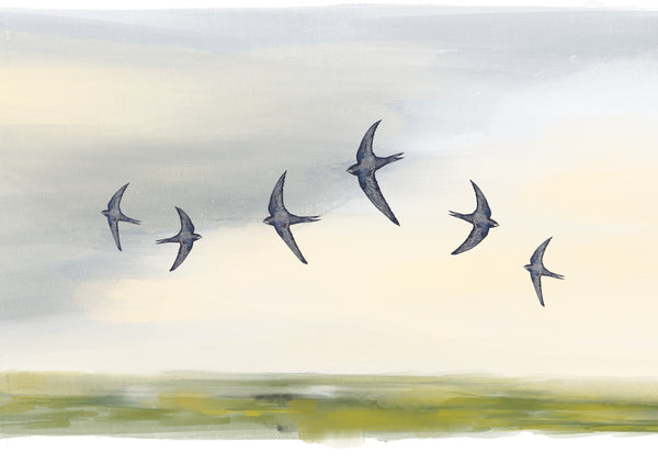 Sunrise Swifts Lampshade