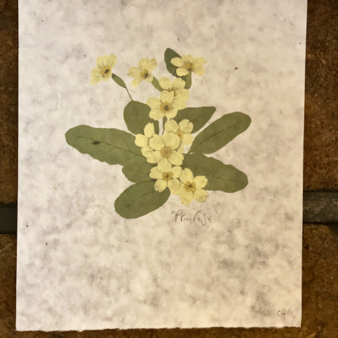 Primrose Giclee Print on Handmade Lokta Paper