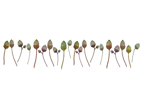 Acorns Lamp