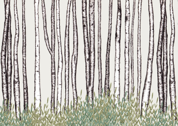 Birch Trees Lampshade