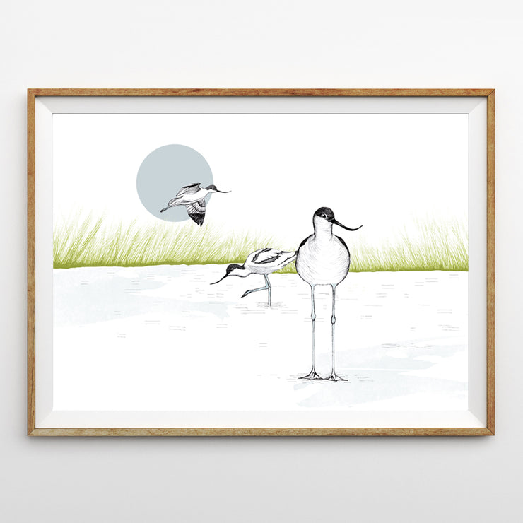 Avocet Print – a northern light