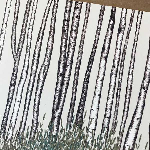 Birch Trees Greetings Card