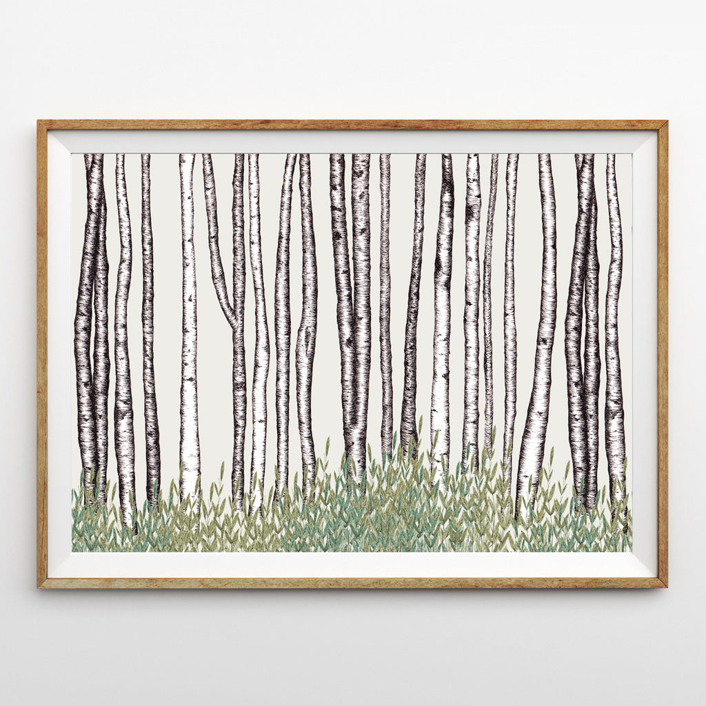 Birch Trees Print – a northern light