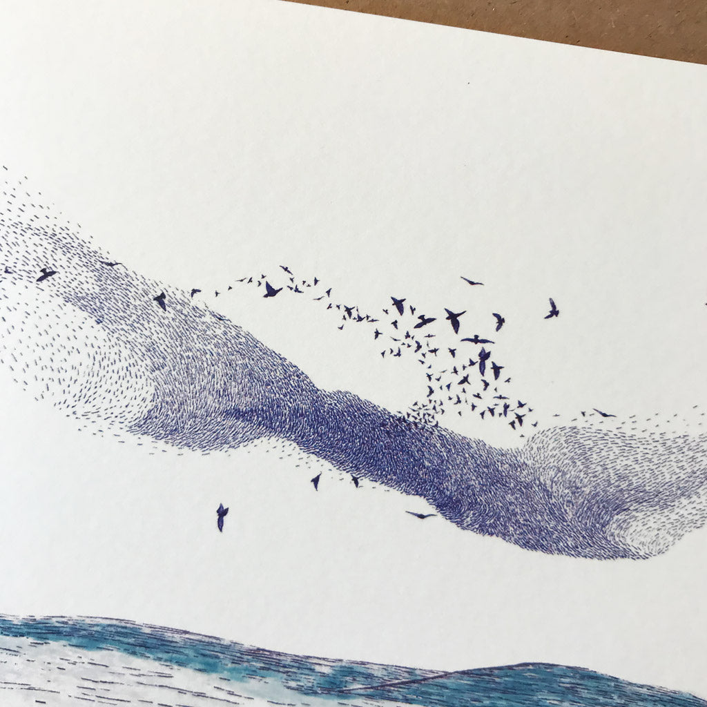 Murmuration Notelets Murmuration Greetings Card – a northern light