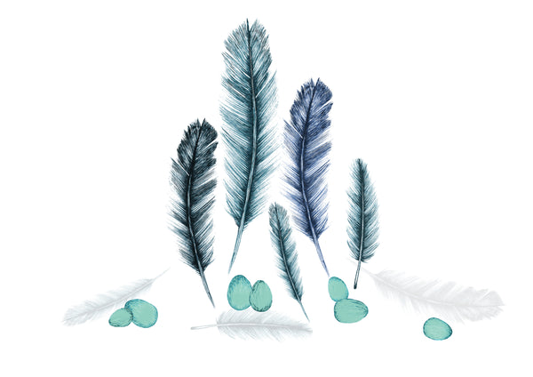 Feather & Eggs