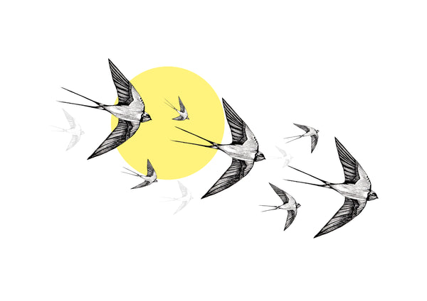 Yellow Swallows Lampshade