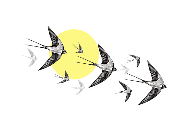 Yellow Swallows Print